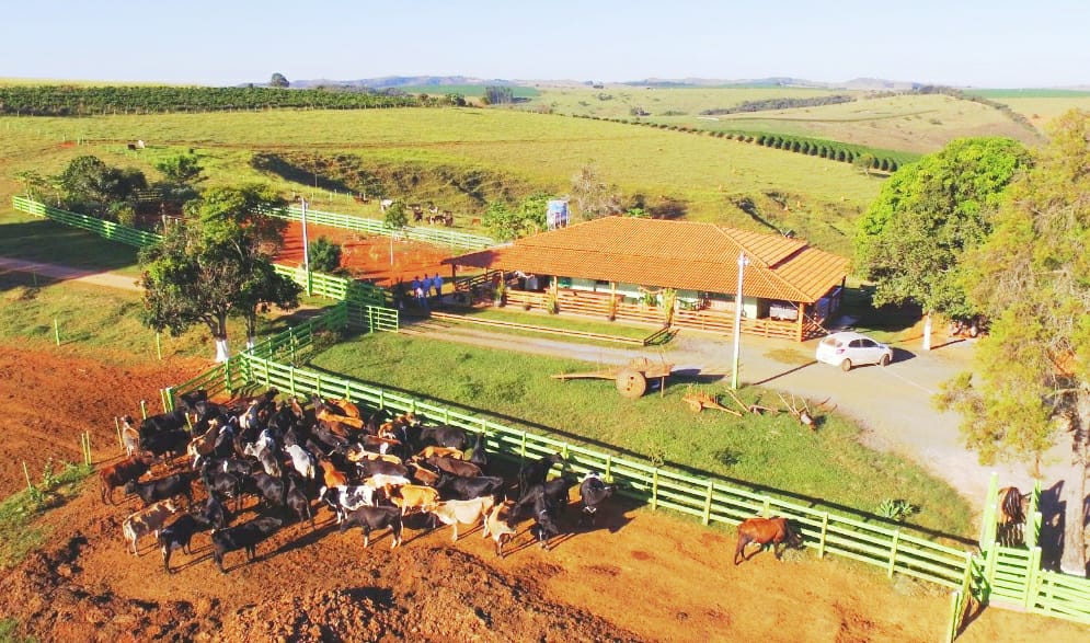 Propriedade rural e fazenda